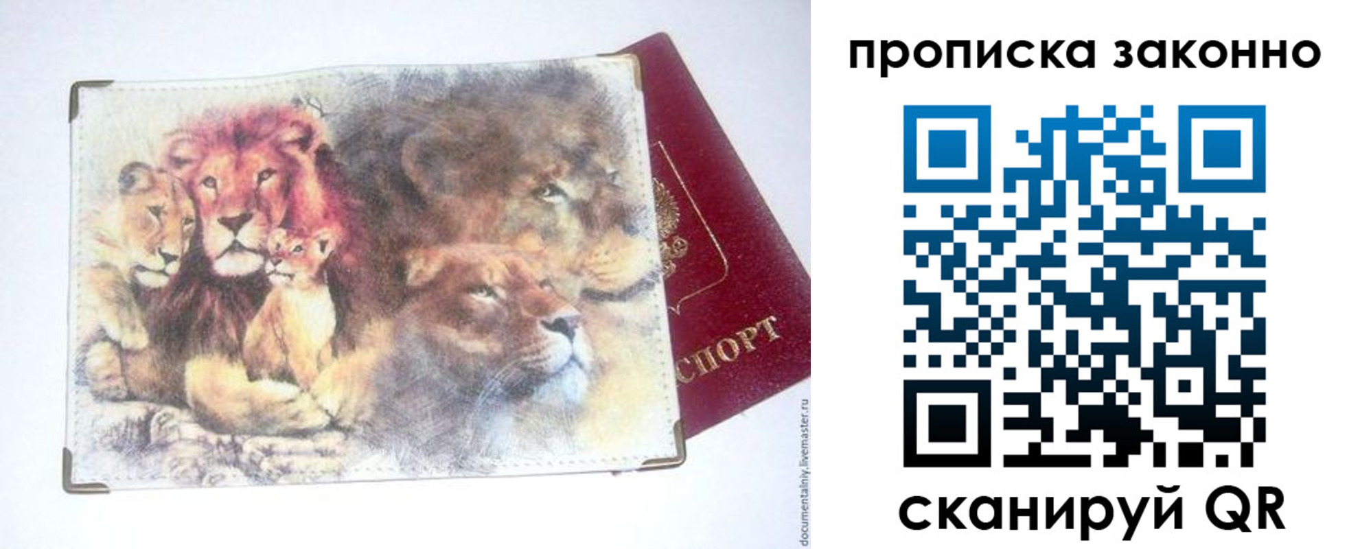 прописка от собственника в Кашине