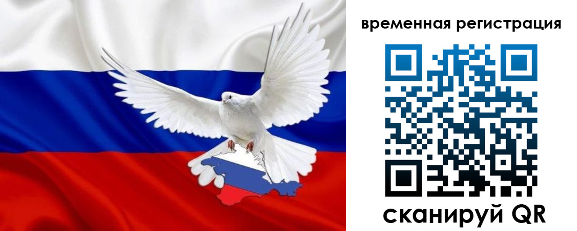 прописка законно в Кашине